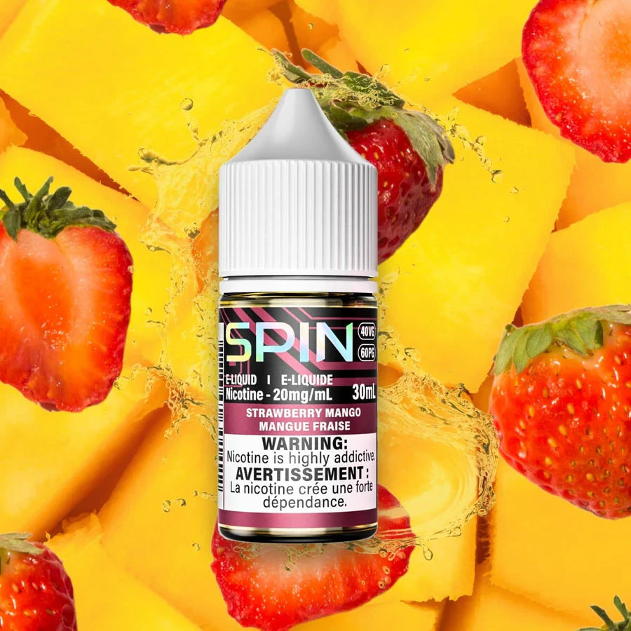 Spin E-Liquid