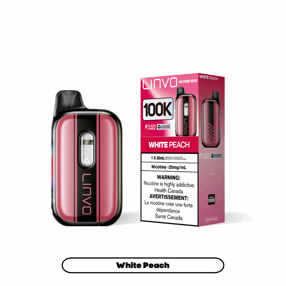 Linvo Beyond 100K Disposable Vape