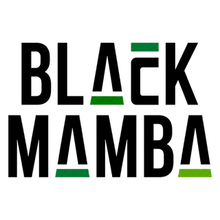 Black Mamba logo