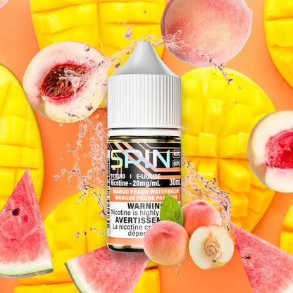 Spin E-Liquid
