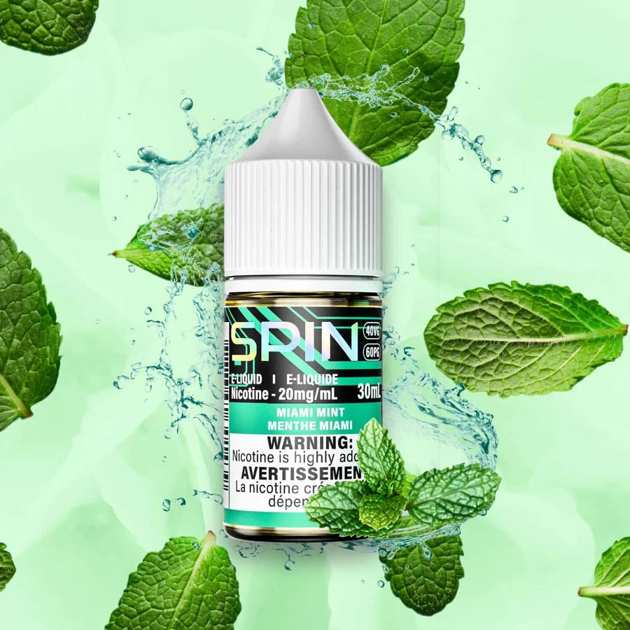 Spin E-Liquid